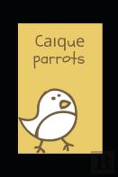 CаіԛUе Parrots