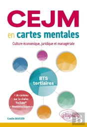 Cejm En Cartes Mentales : Culture Économique, Juridique Et Managériale ; Bts Tertiaires