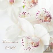 Celebration Of Life, In Loving Memory Funeral Guest Book, Wake, Loss, Memorial Service, Love, Condolence Book, Funeral Home, Missing You, Church, Thoughts And In Memory Guest Book (Hardback)