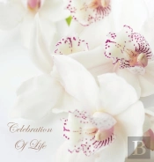 Celebration Of Life, In Loving Memory Funeral Guest Book, Wake, Loss, Memorial Service, Love, Condolence Book, Funeral Home, Missing You, Church, Thoughts And In Memory Guest Book (Hardback)
