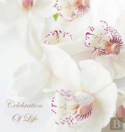 Bertrand.pt - Celebration Of Life, In Loving Memory Funeral Guest Book, Wake, Loss, Memorial Service, Love, Condolence Book, Funeral Home, Missing You, Church, Thoughts And In Memory Guest Book (Hardback)