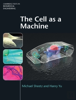 Bertrand.pt - Cell As A Machine