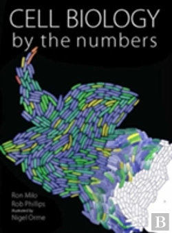 Bertrand.pt - Cell Biology By The Numbers