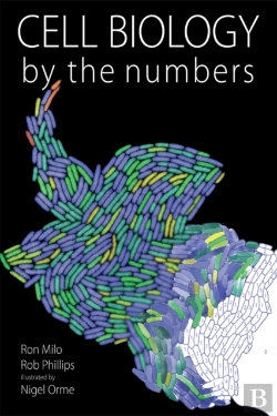 Bertrand.pt - Cell Biology By The Numbers
