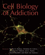 Cell Biology Of Addiction