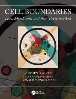 Bertrand.pt - Cell Boundaries