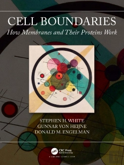 Bertrand.pt - Cell Boundaries