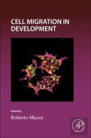 Cell Migration In Development