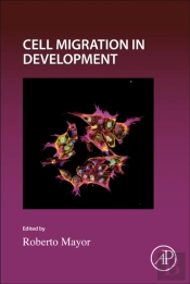 Cell Migration In Development