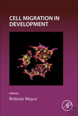 Bertrand.pt - Cell Migration In Development