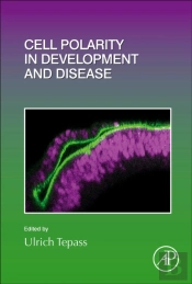 Cell Polarity In Development And Disease
