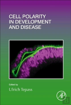 Bertrand.pt - Cell Polarity In Development And Disease
