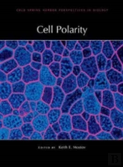 Bertrand.pt - Cell Polarity