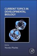 Cell Shape And Position During Development