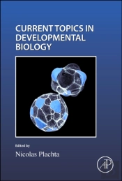 Cell Shape And Position During Development