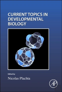 Bertrand.pt - Cell Shape And Position During Development