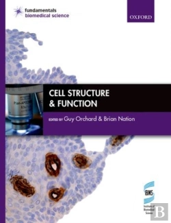 Bertrand.pt - Cell Structure & Function