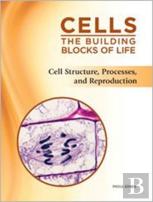 Cell Structure, Processes, And Reproduction