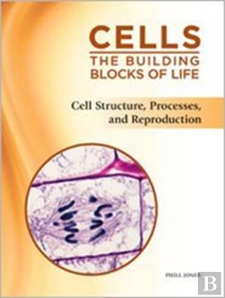 Bertrand.pt - Cell Structure, Processes, And Reproduction
