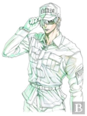 Cells At Work! 6
