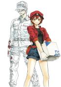 Cells At Work! Complete Manga Box Set!