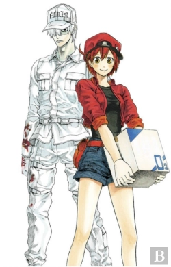 Bertrand.pt - Cells At Work! Complete Manga Box Set!