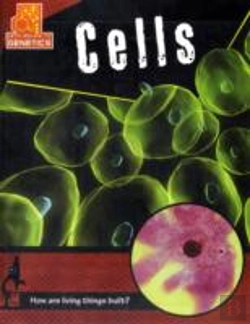 Bertrand.pt - Cells