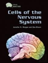 Cells Of The Nervous System