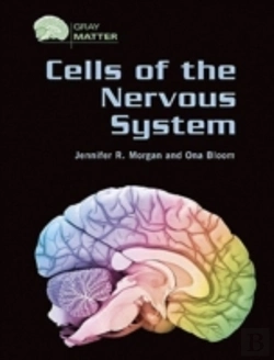 Bertrand.pt - Cells Of The Nervous System