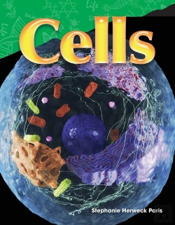 Bertrand.pt - Cells