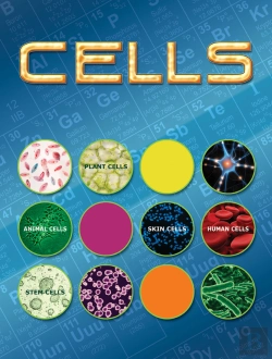Bertrand.pt - Cells