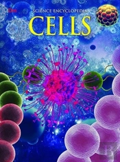 Cells