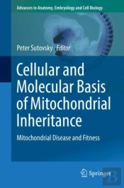 Cellular And Molecular Basis Of Mitochondrial Inheritance