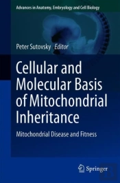Cellular And Molecular Basis Of Mitochondrial Inheritance