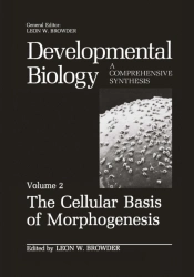 Cellular Basis Of Morphogenesis