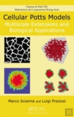 Bertrand.pt - Cellular Potts Models
