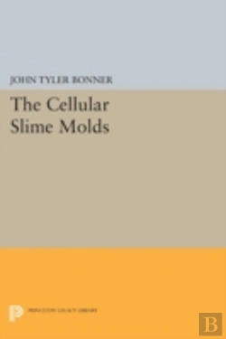 Bertrand.pt - Cellular Slime Molds