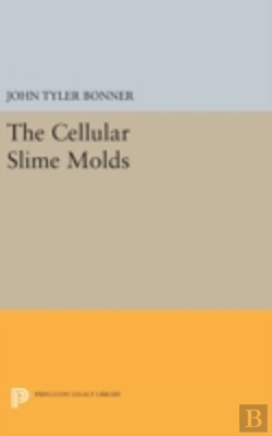 Bertrand.pt - Cellular Slime Molds