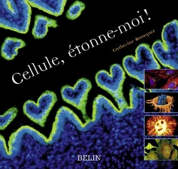 Bertrand.pt - Cellule, Étonne-Moi !