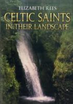 Bertrand.pt - Celtic Saints In Their Landscape