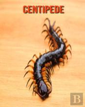 Centipede