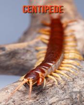 Centipede