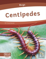 Centipedes