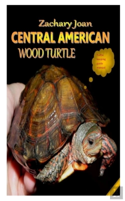 Bertrand.pt - Central American Wood Turtle