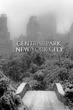 Bertrand.pt - Central Park Bridge  New York City  Snow