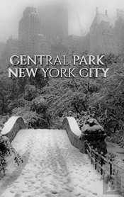 Central Park Bridge  New York City  Snow