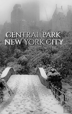 Bertrand.pt - Central Park Bridge  New York City  Snow