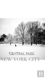 Central Park New York City Winter Wonderland Blank Journal