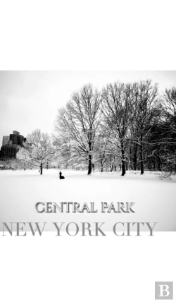 Bertrand.pt - Central Park New York City Winter Wonderland Blank Journal