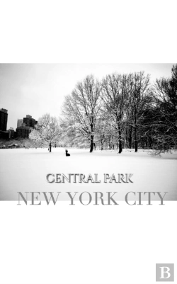 Bertrand.pt - Central Park New York City Winter Wonderland Blank Journal